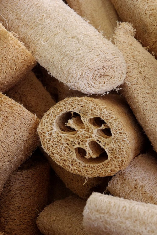 Egyptian Natural Glove Loofah 6.30"x 7.87"